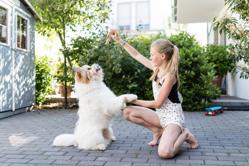 Young girl kneels outside across from her dog